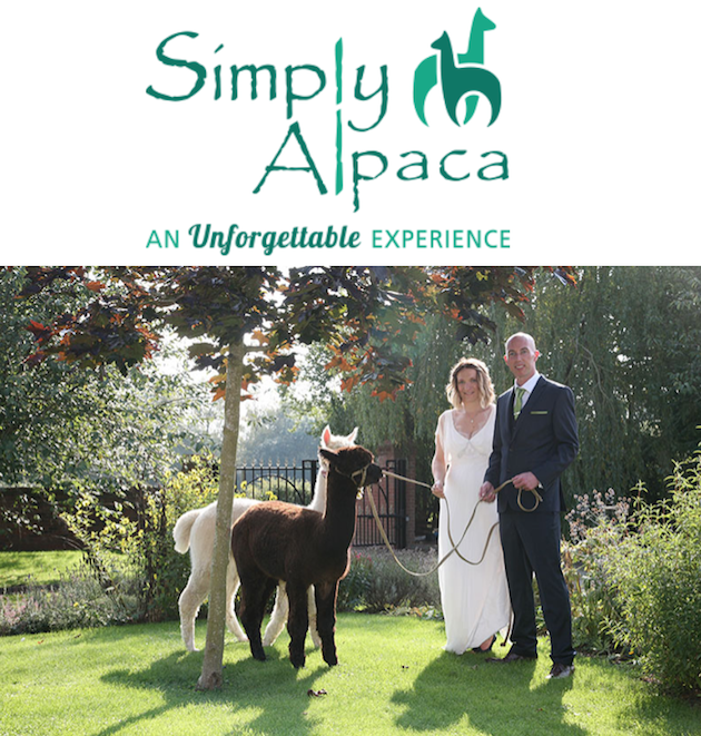 images/advert_images/asain-weddings_files/Alpacas.png
